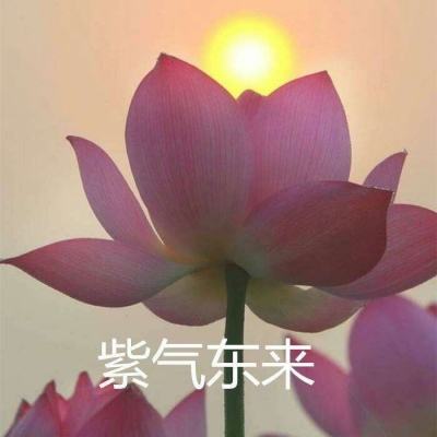 时间反冲破解版下载